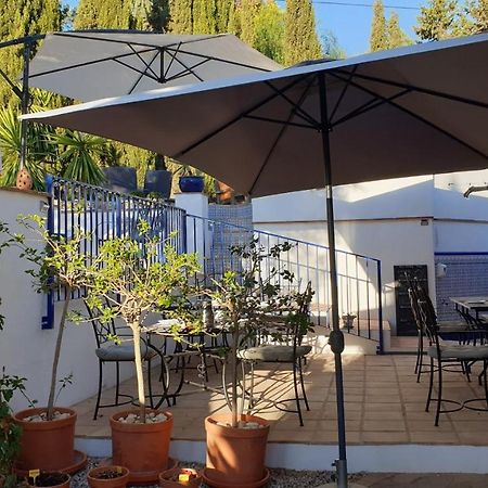Premium Bed & Breakfast Casa Alegria Andaluza Los Romanes Dış mekan fotoğraf
