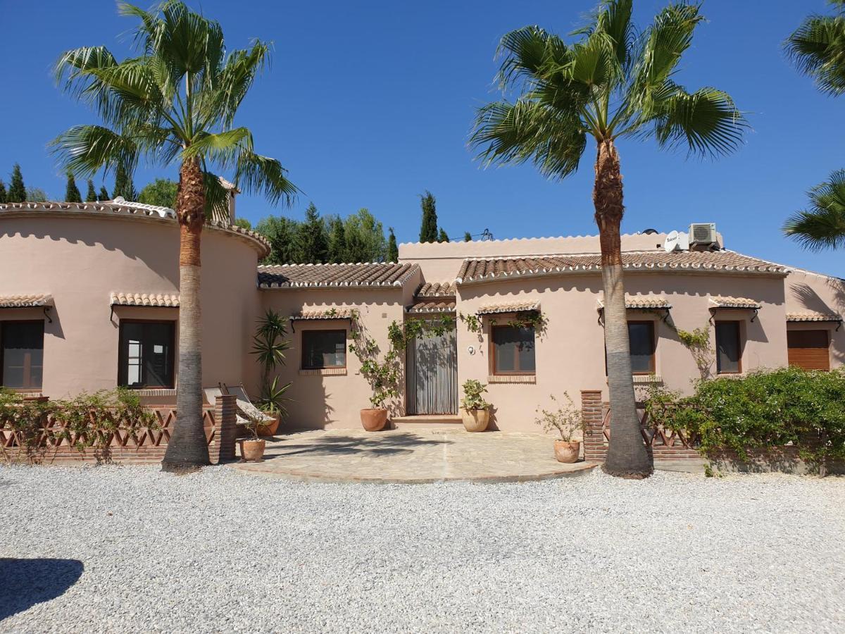 Premium Bed & Breakfast Casa Alegria Andaluza Los Romanes Dış mekan fotoğraf