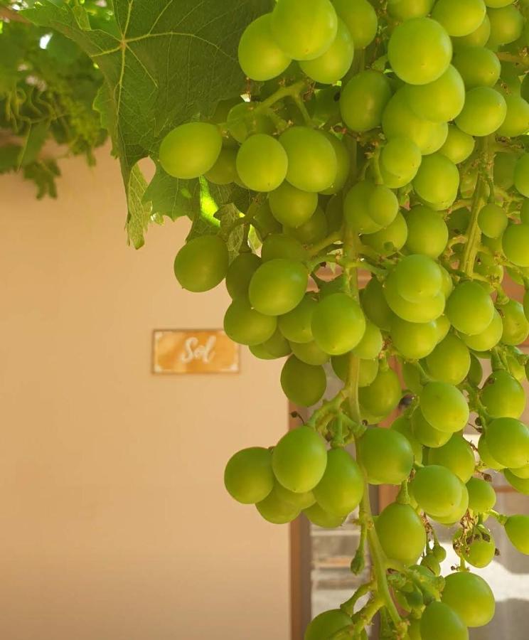 Premium Bed & Breakfast Casa Alegria Andaluza Los Romanes Dış mekan fotoğraf