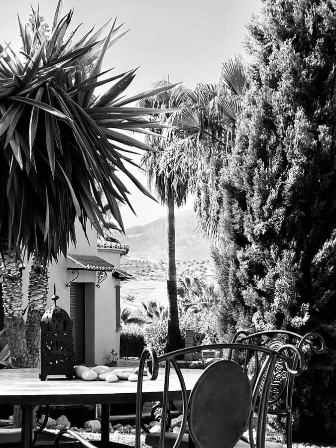 Premium Bed & Breakfast Casa Alegria Andaluza Los Romanes Dış mekan fotoğraf